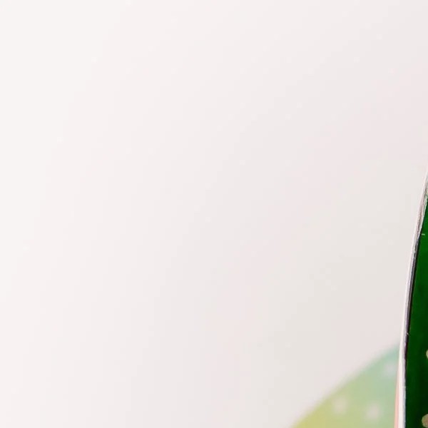 LISTON 9 ELEGANCE VERDE BANDERA COLORS 40M ROLLO